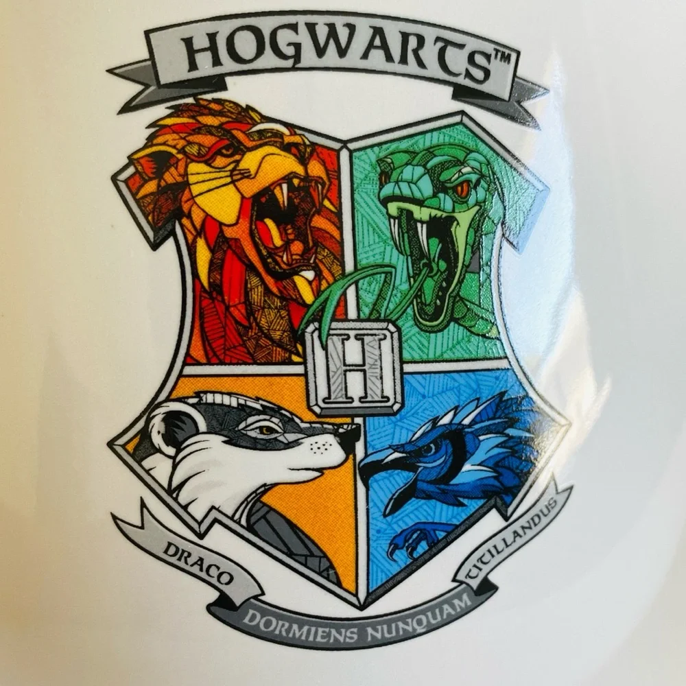 Harry Potter Hogwarts 20 oz Ceramic Ramen Bowl Dark Academia Fantasy Magical